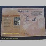 20060825_24Yosemite_001 copia.jpg